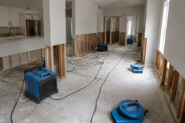 undefined - Carpet Damage Repair undefined - Carpet Damage Repair